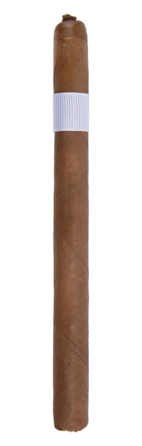 262 Suite & Tie Lancero