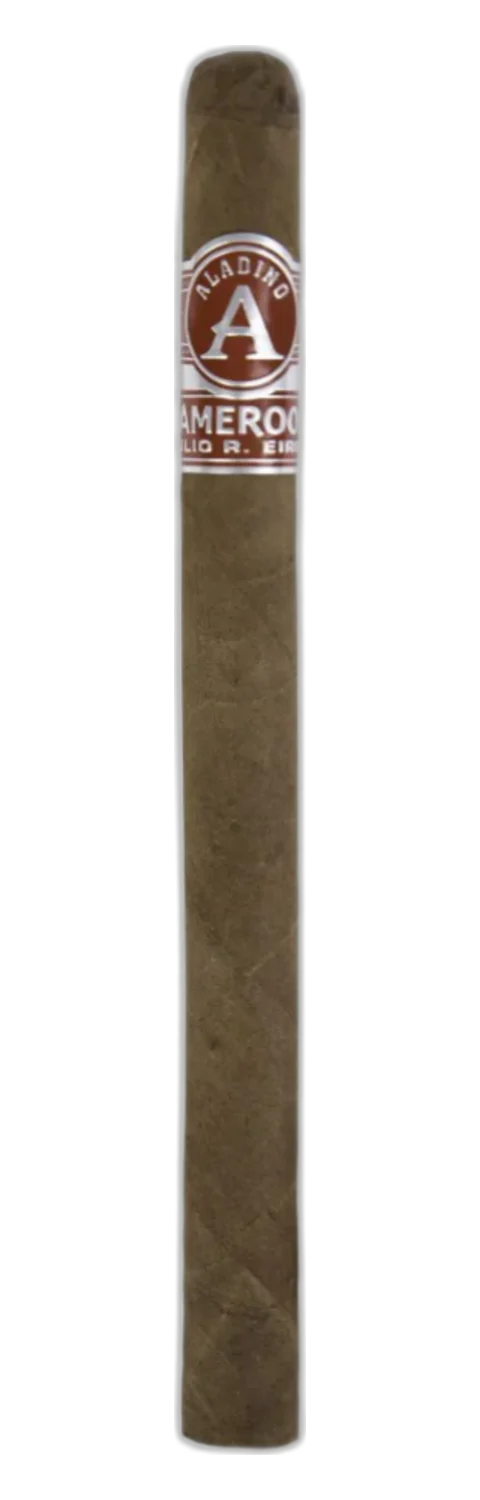 Aladino Elegante