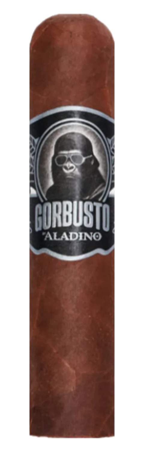 Aladino Gorbusto Gori