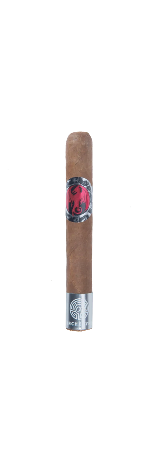 Archetype Initiation Corona