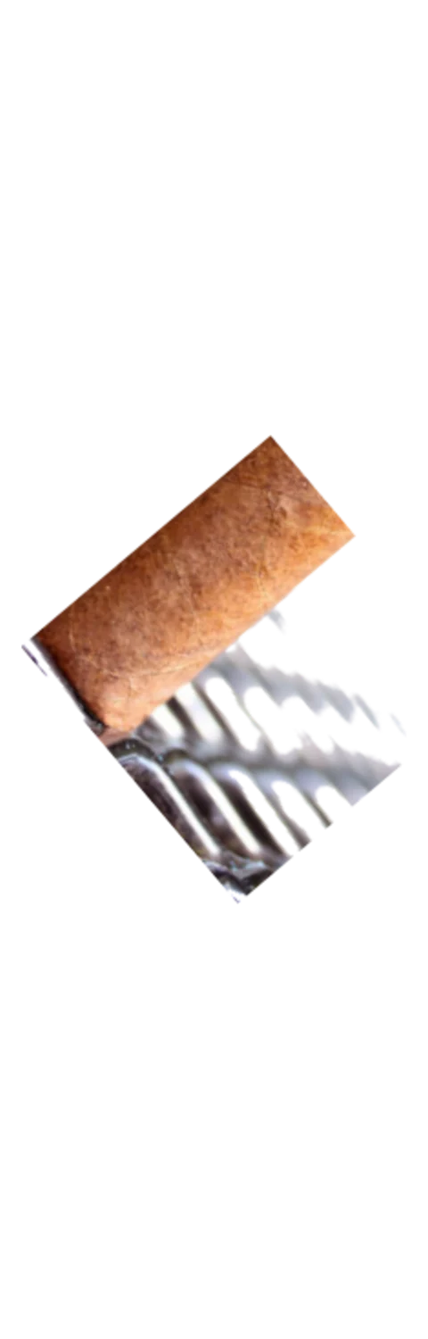 Arturo Fuente Don Carlos Senior Blend