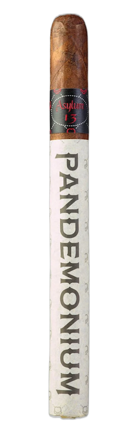 Asylum 13 Pandemonium
