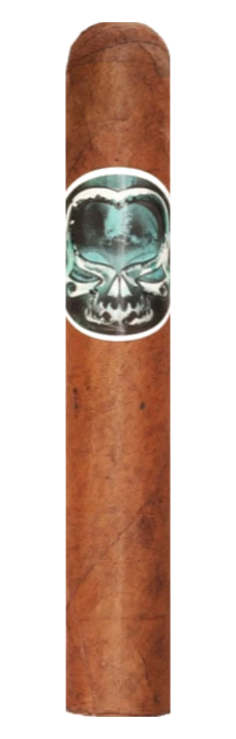 Asylum Schizo 50x5