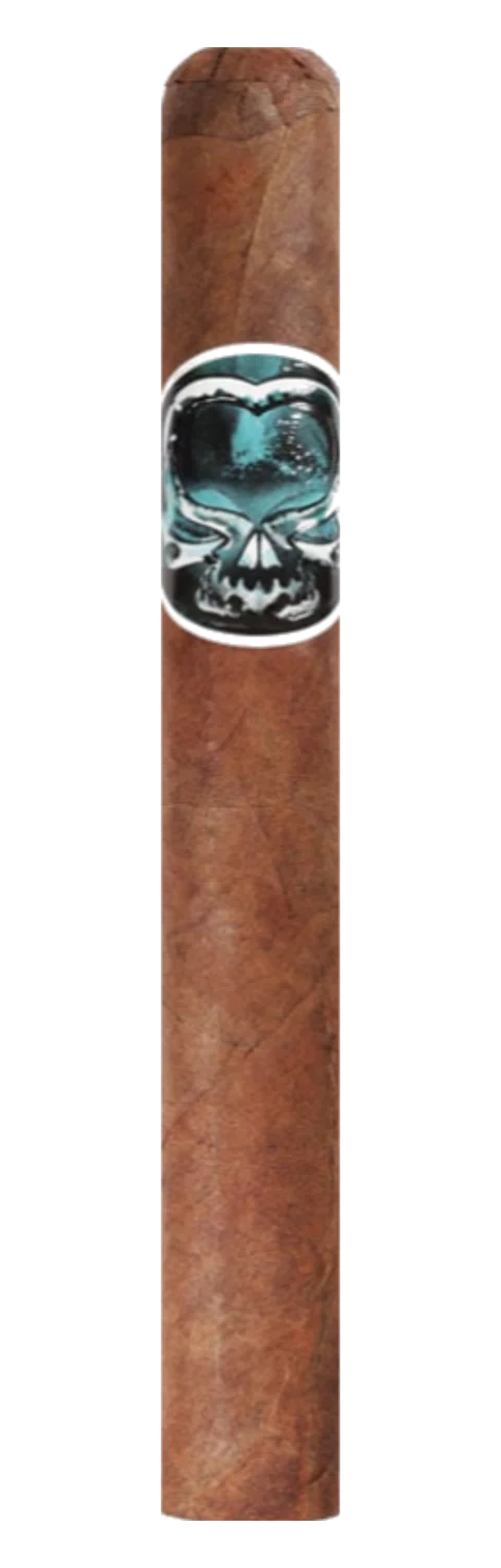 Asylum Schizo 50x6