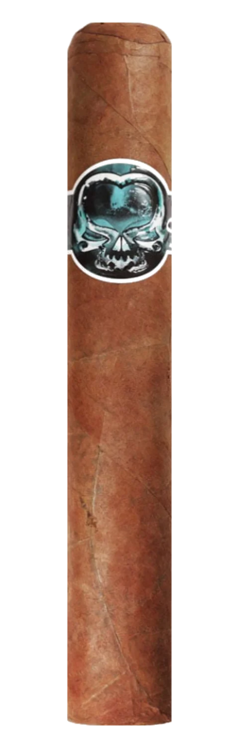 Asylum Schizo 70x7