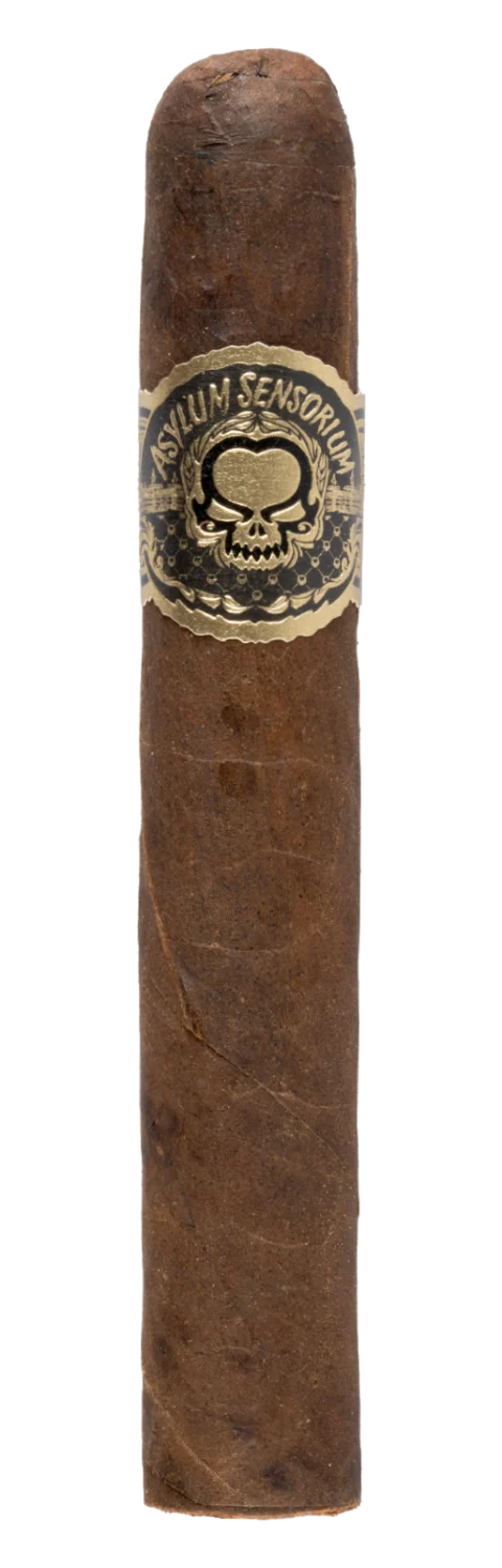 Asylum Sensorium Asen 60