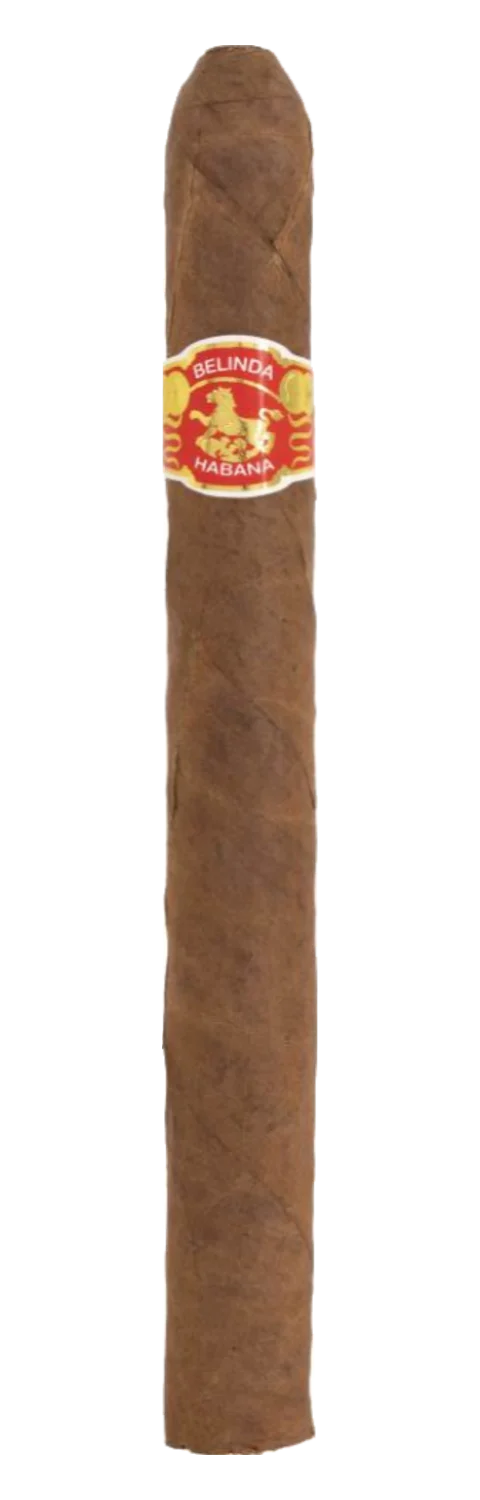 Belinda Coronas Tubo