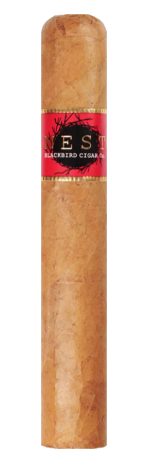 Blackbird Nest Connecticut Doble Toro