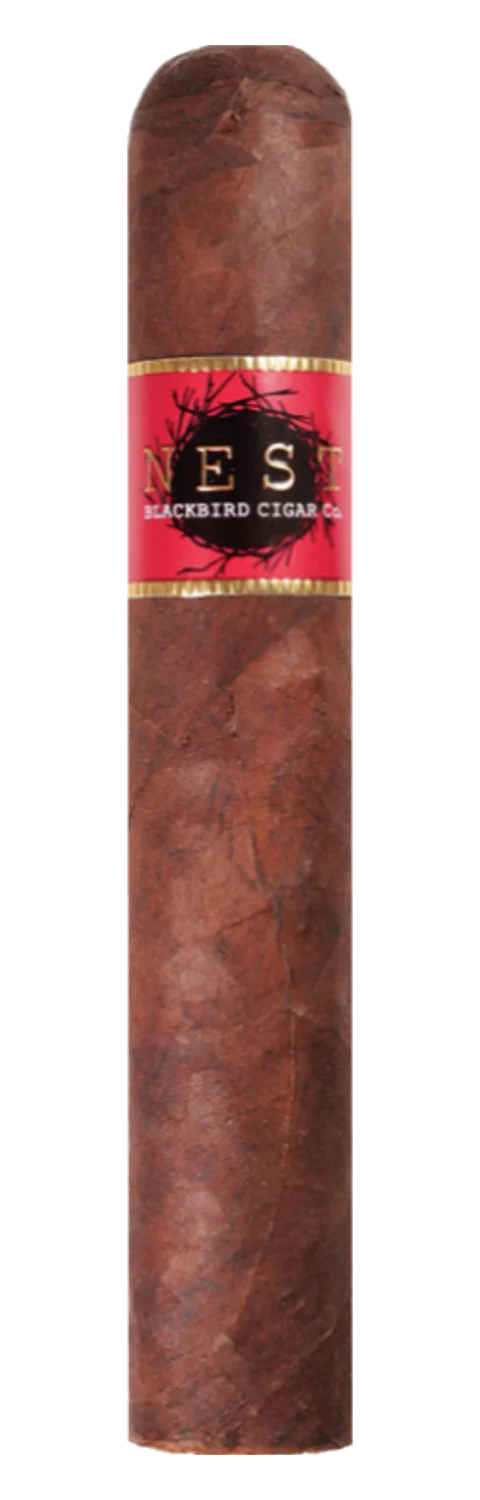 Blackbird Nest Maduro Double Toro
