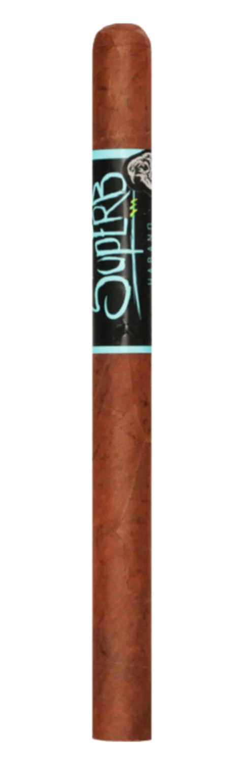Blackbird Superb Lancero