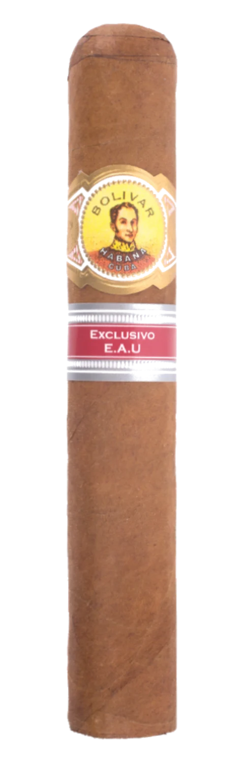 Bolívar Emarati (ER United Arab Emirates 2015)