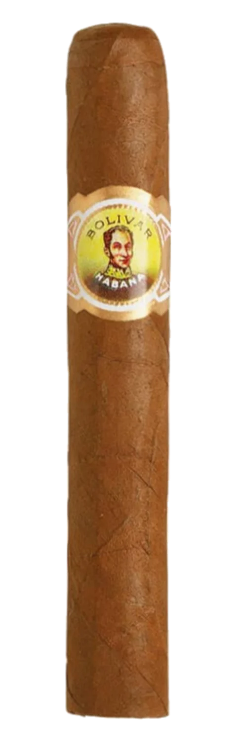 Bolívar Línea Clásica Coronas Junior