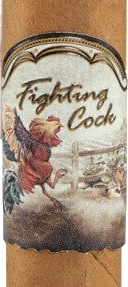 Fighting Cock