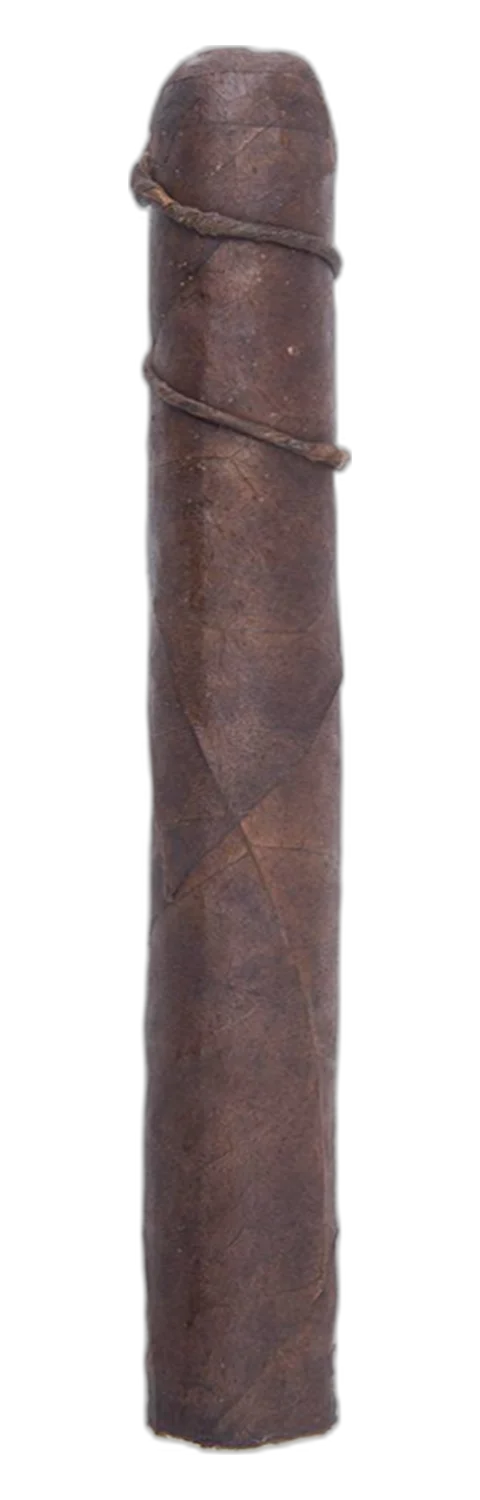 CAO Amazon Anaconda