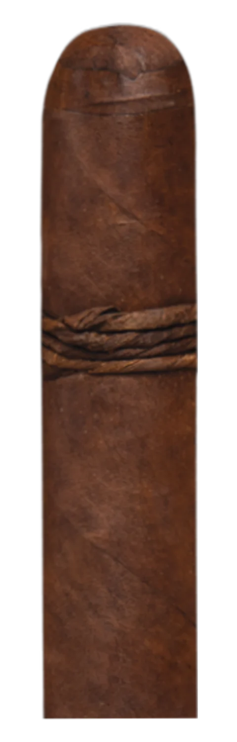 CAO Amazon Basin