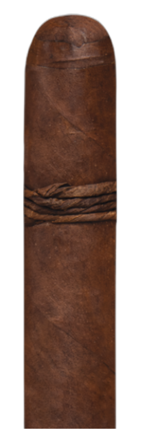 CAO Amazon Basin