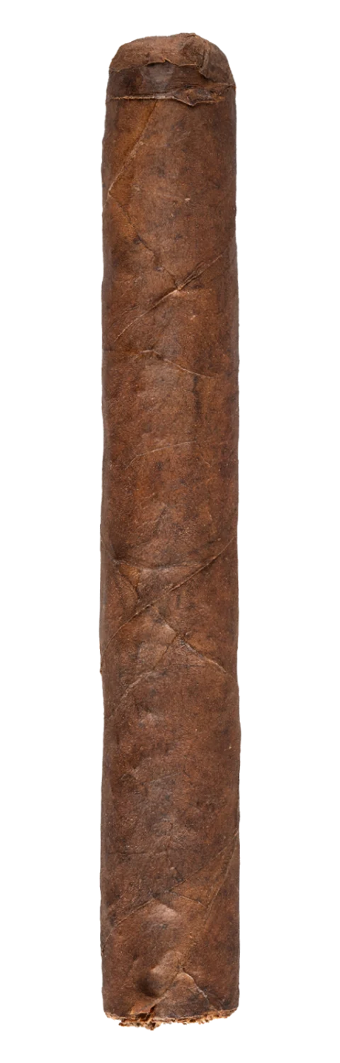 CAO Amazon Basin Dagger