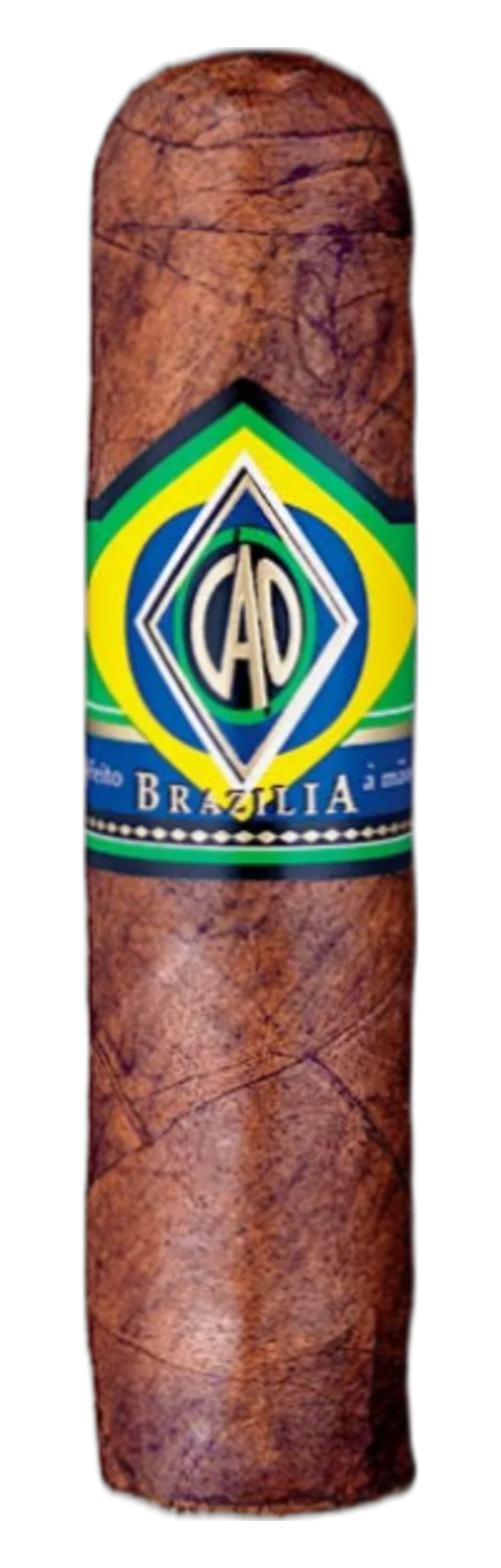 CAO Brazilia Corcovado