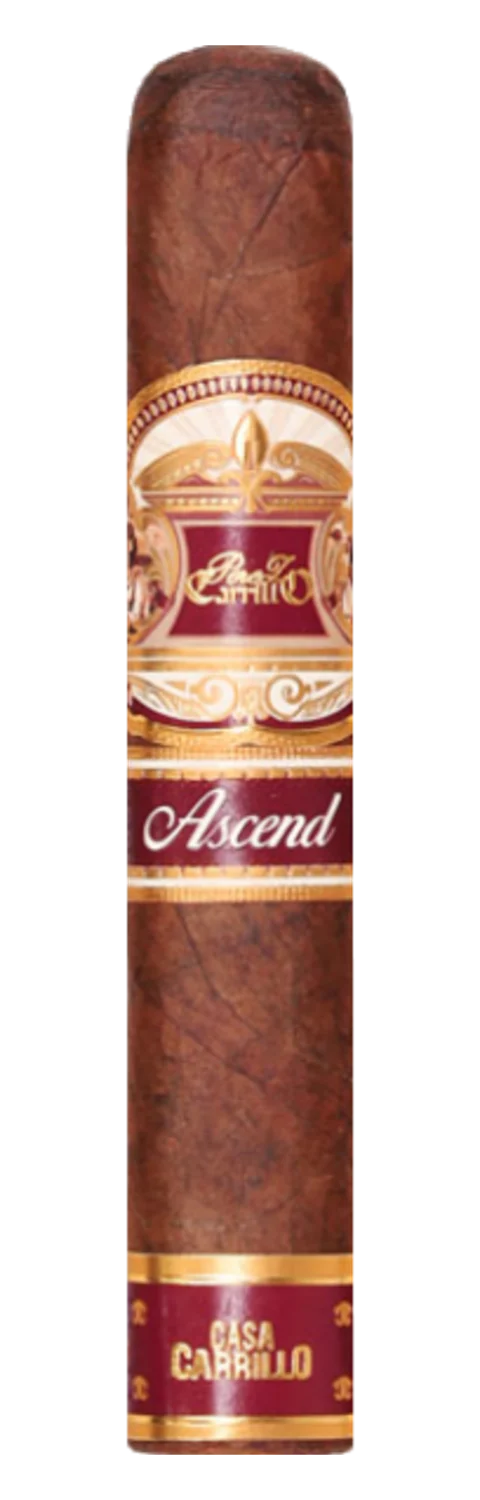 Casa Carrillo Ascend Saddle