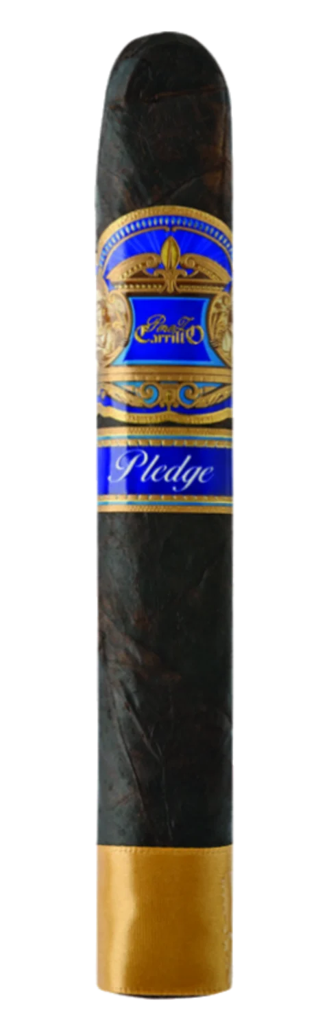 Casa Carrillo EP Carrillo Pledge Apogee