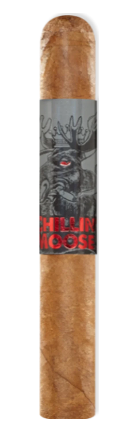 Chillin Moose Corona