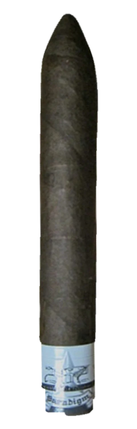 262 Paradigm Torpedo