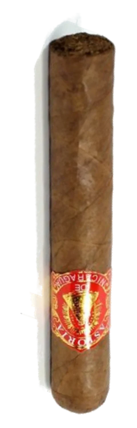 Astoria de Nicaragua Bundle Short Robustos