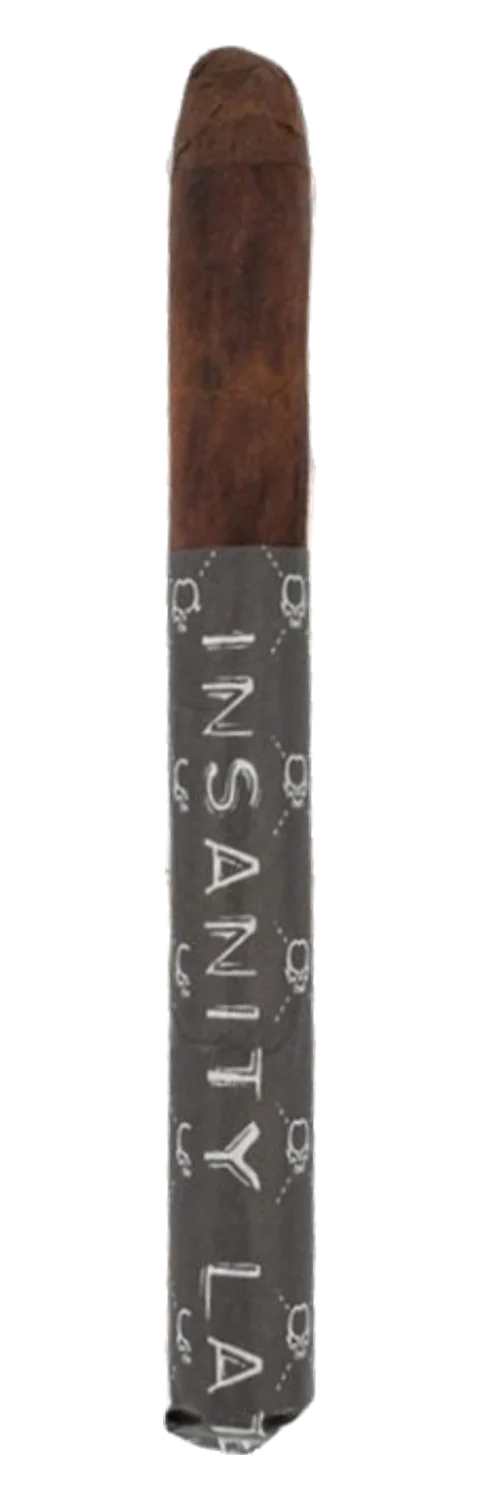 Asylum Insanity Later 54×6