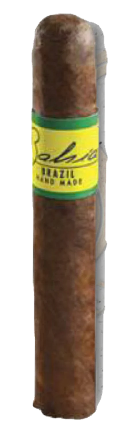 Bahia Brazil Toro