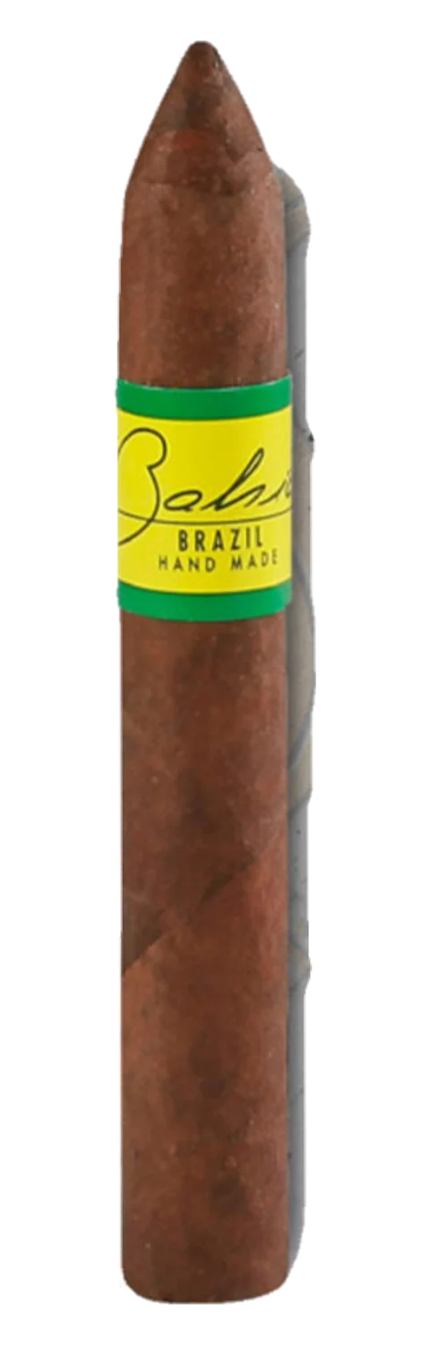 Bahia Brazil Torpedo