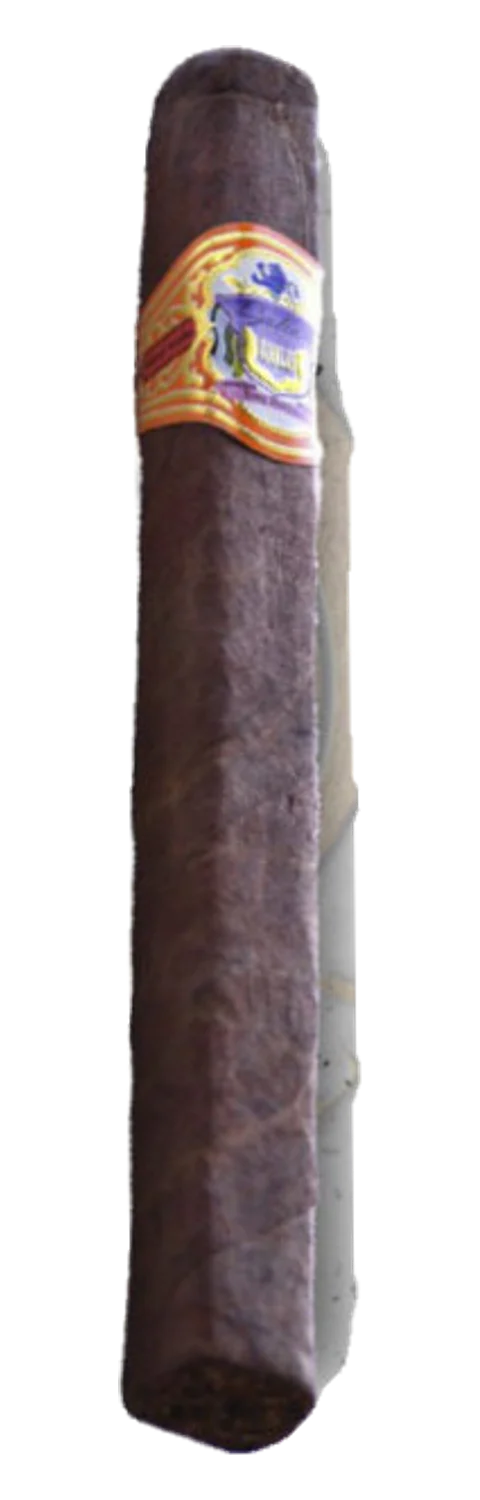Bahia Gold Churchill