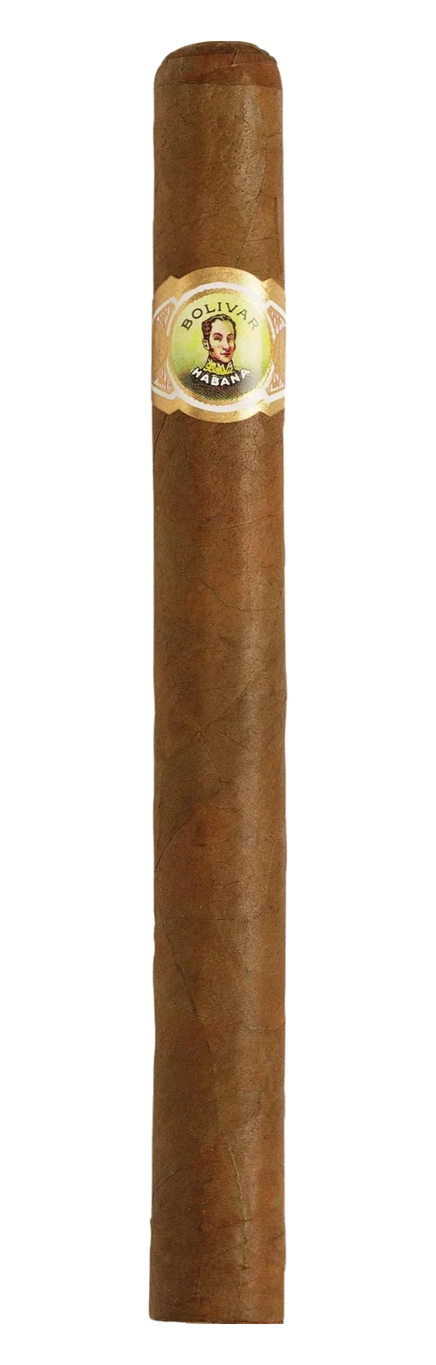 Bolívar Línea Clásica Coronas Gigantes