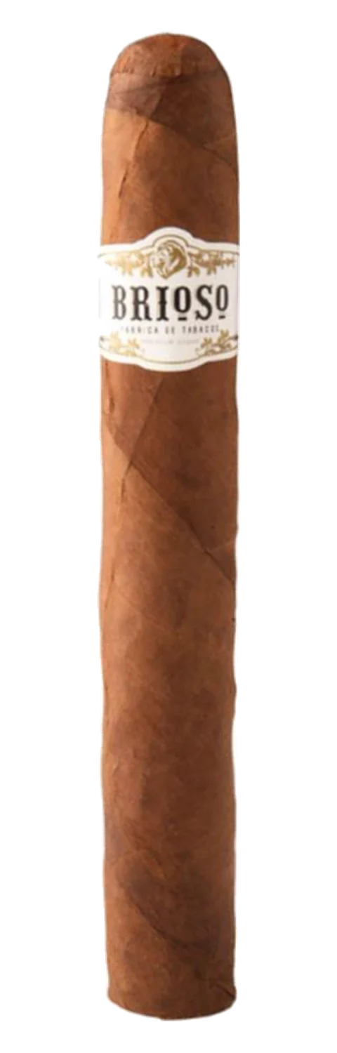 Brioso Toro
