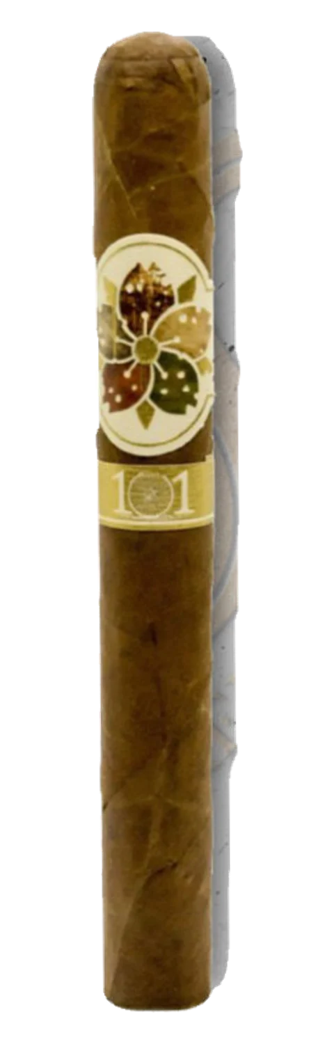 Caldwell Hit &Run (Room 101) Corona Gorda