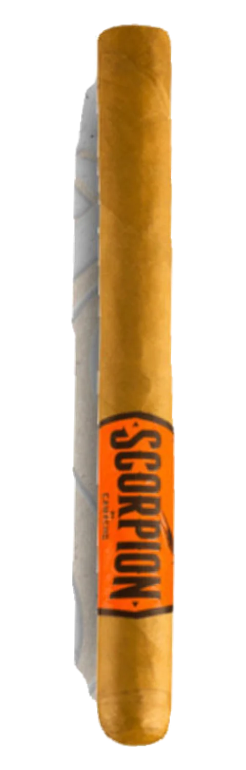 Camacho Scorpion Sweet Tip Churchill