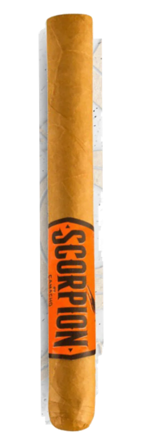 Camacho Scorpion Sweet Tip Corona