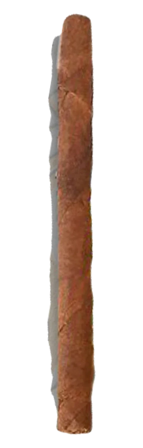 CAO Brazilia Minis