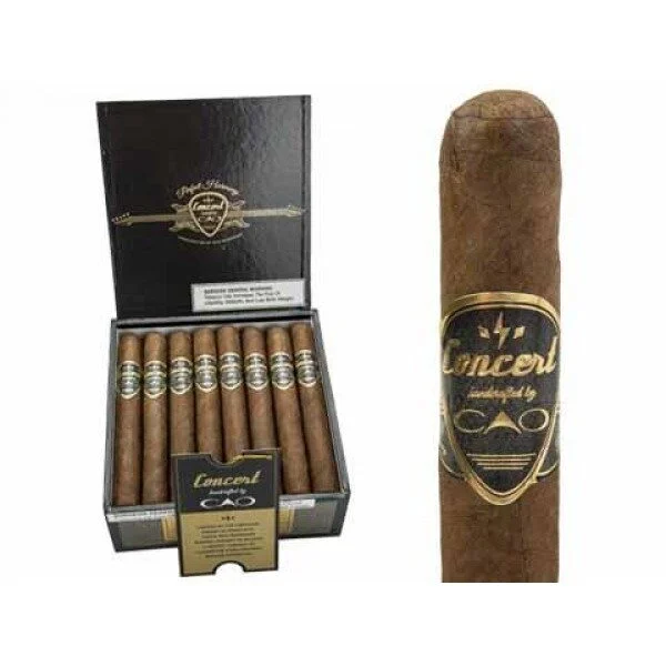 CAO Concert AMP