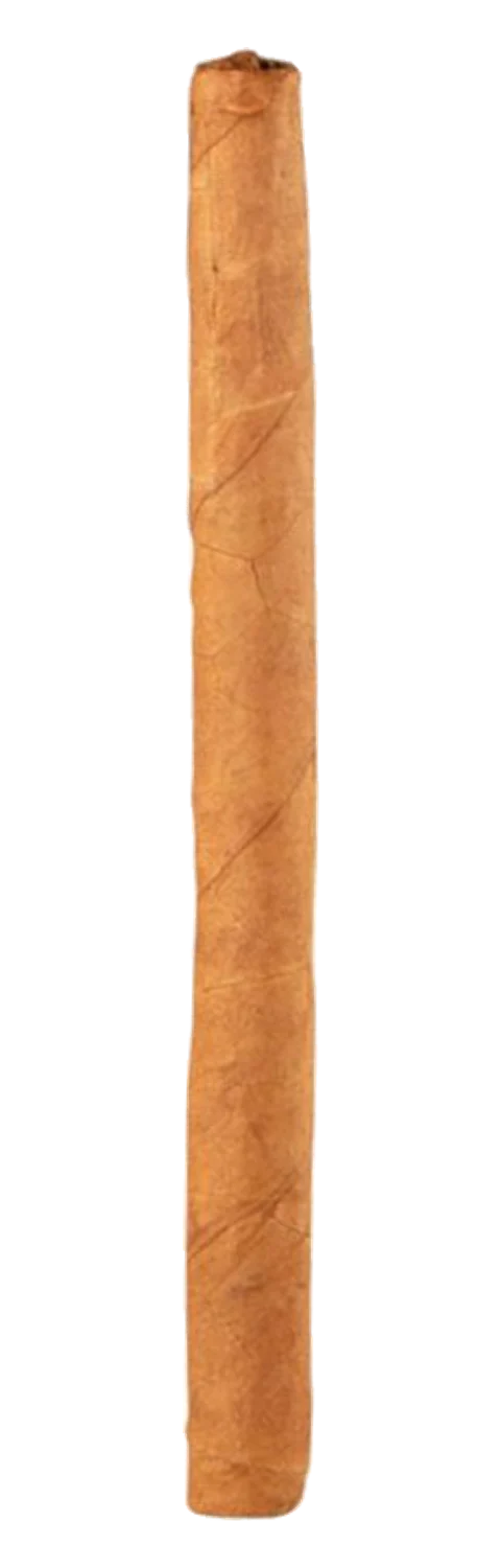 CAO Gold Minis