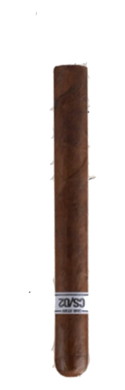 Case Study 2 Churchill