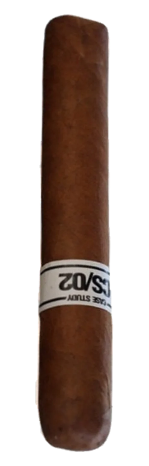 Case Study 2 Robusto