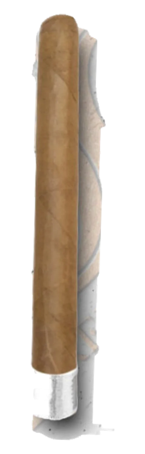 Crowned Heads Sfumato in C Major