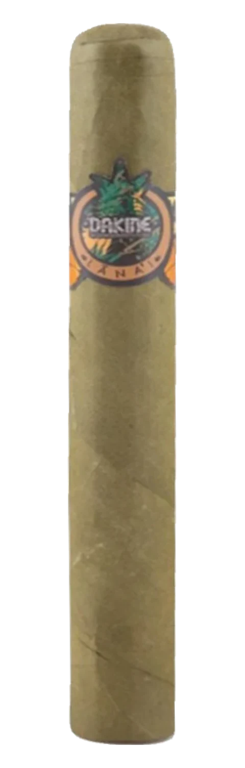 Dakine Lana’i Toro