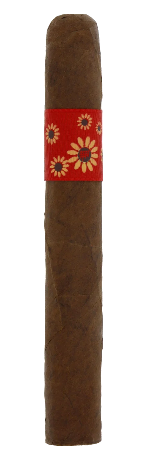 Dalay Artisan Series Box 10 von 30