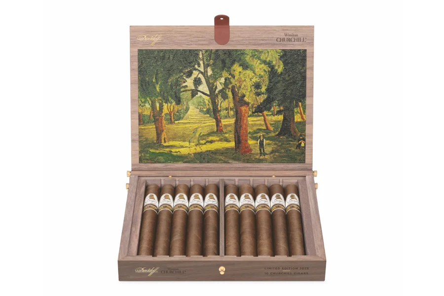 Davidoff Winston Churchill Limited Edition 2025 The Artist