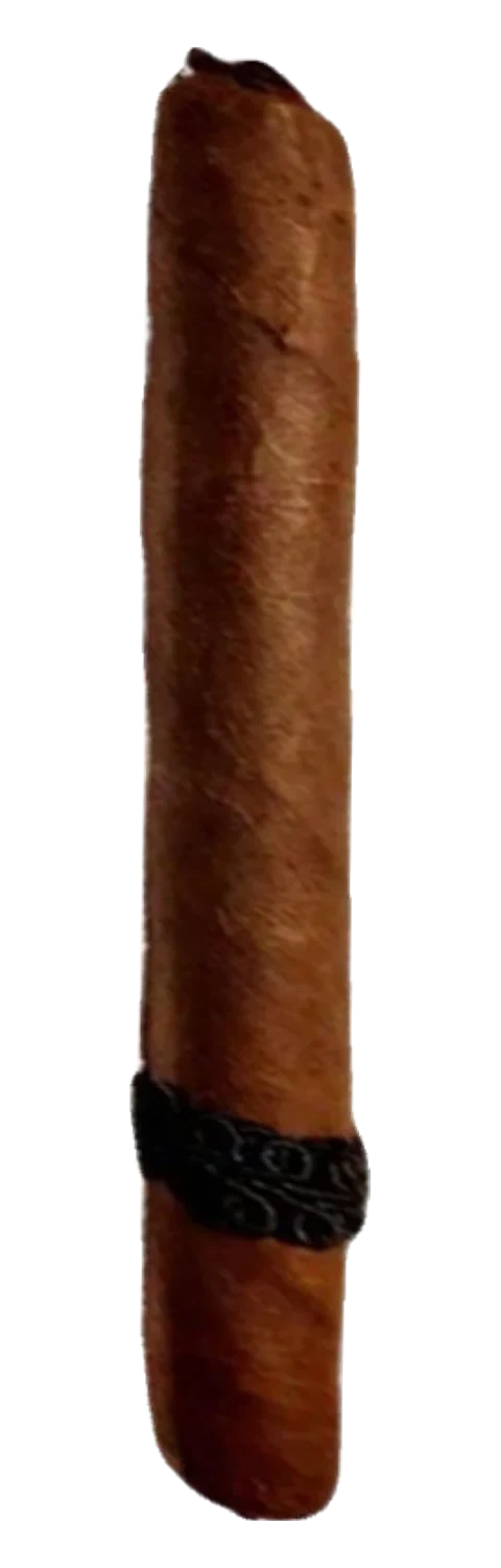 Definition Walking Stick Lancero