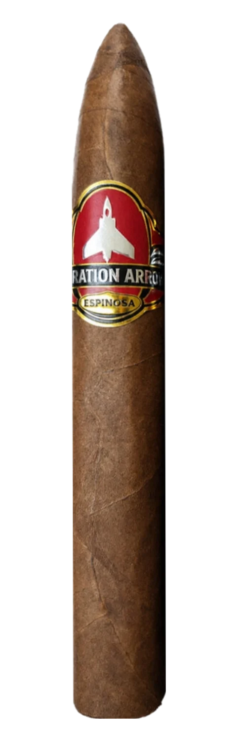 Espinosa Operation Arrow