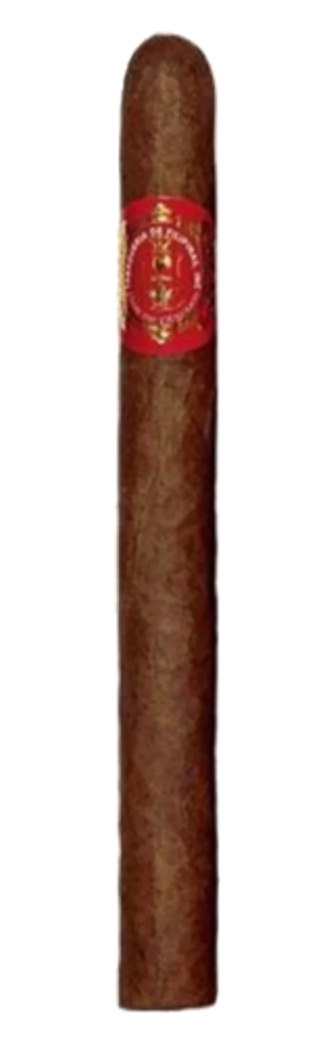 Flor de Filipinas Churchill