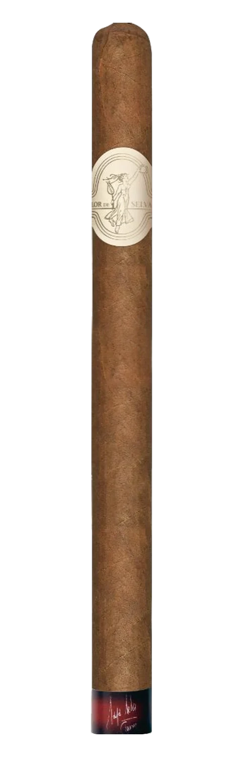Flor de Selva Anniversary Lancero