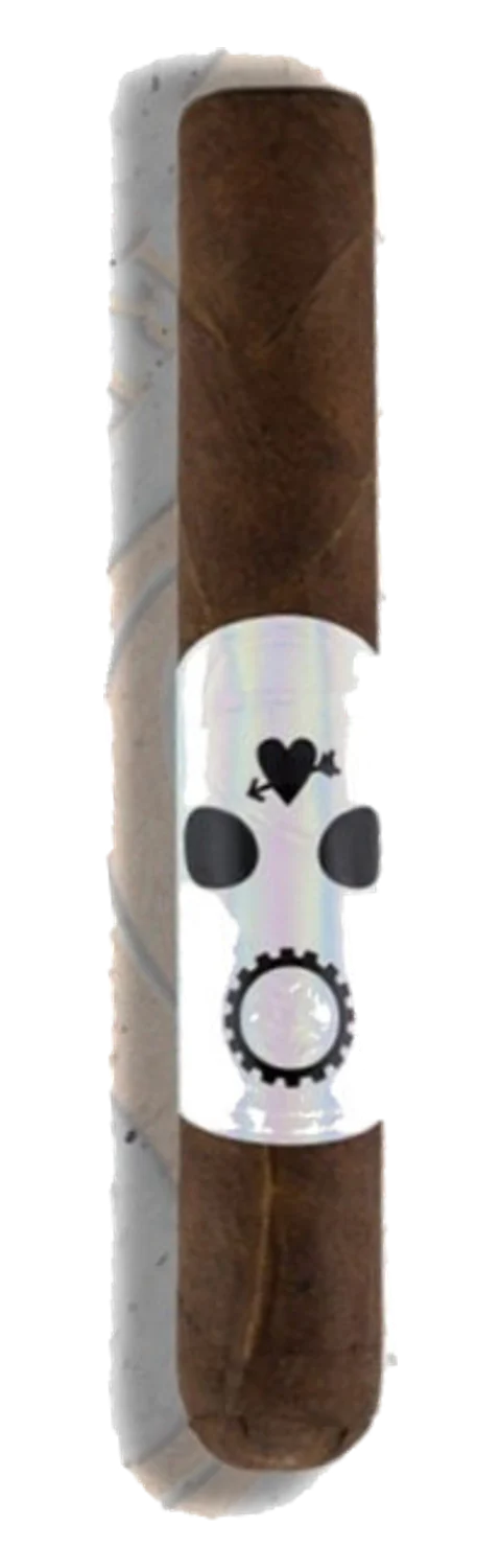 Foundry FTC Time Flies Robusto